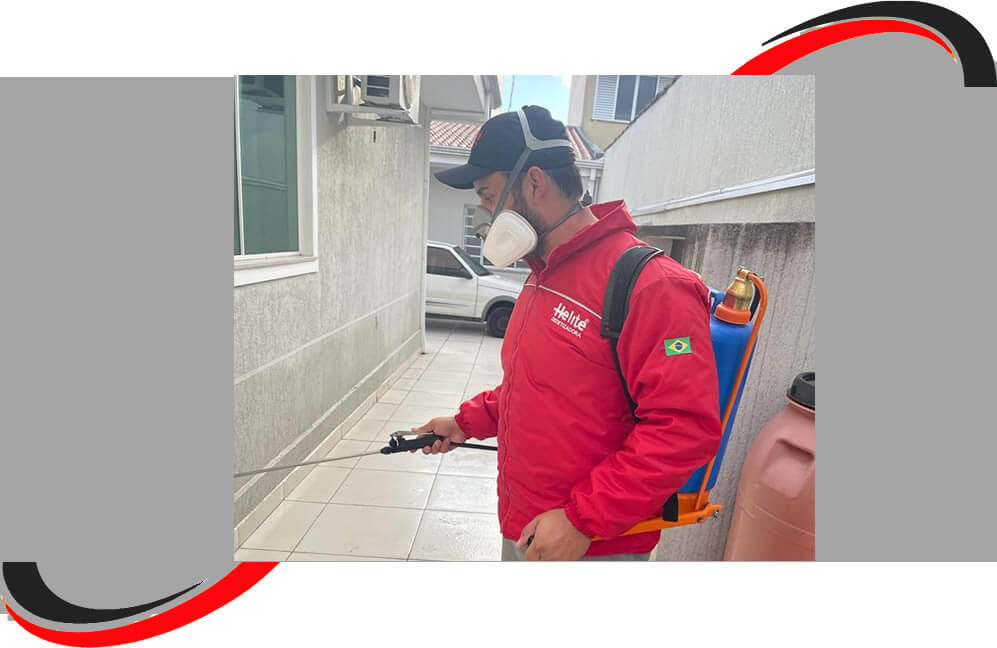 Dedetização e Desinsetização