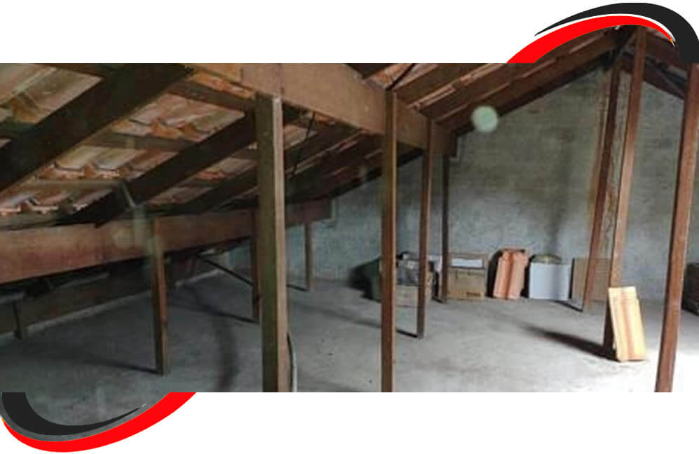 Serviço de Desratização